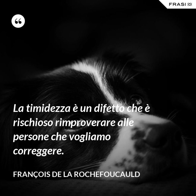 La timidezza è un difetto che è rischioso rimproverare alle persone che vogliamo correggere. - François de La Rochefoucauld