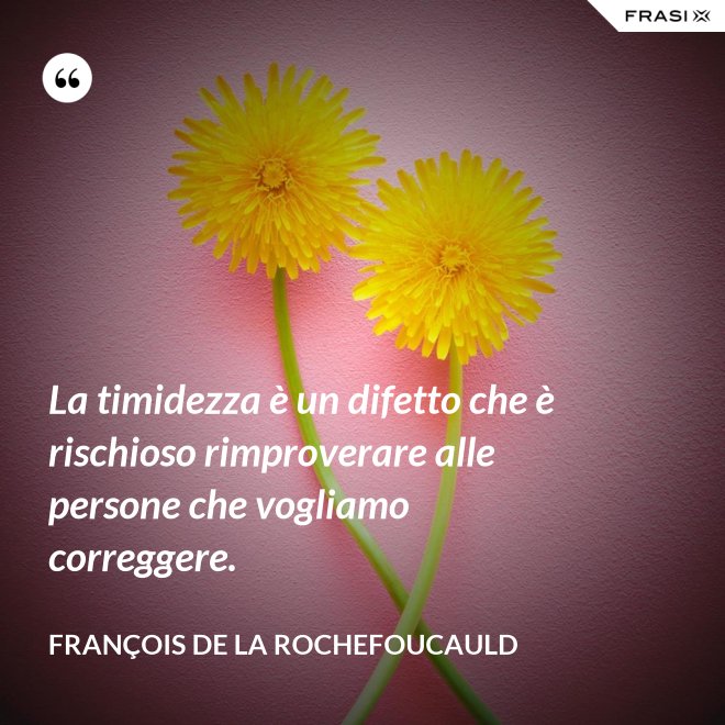 La timidezza è un difetto che è rischioso rimproverare alle persone che vogliamo correggere. - François de La Rochefoucauld