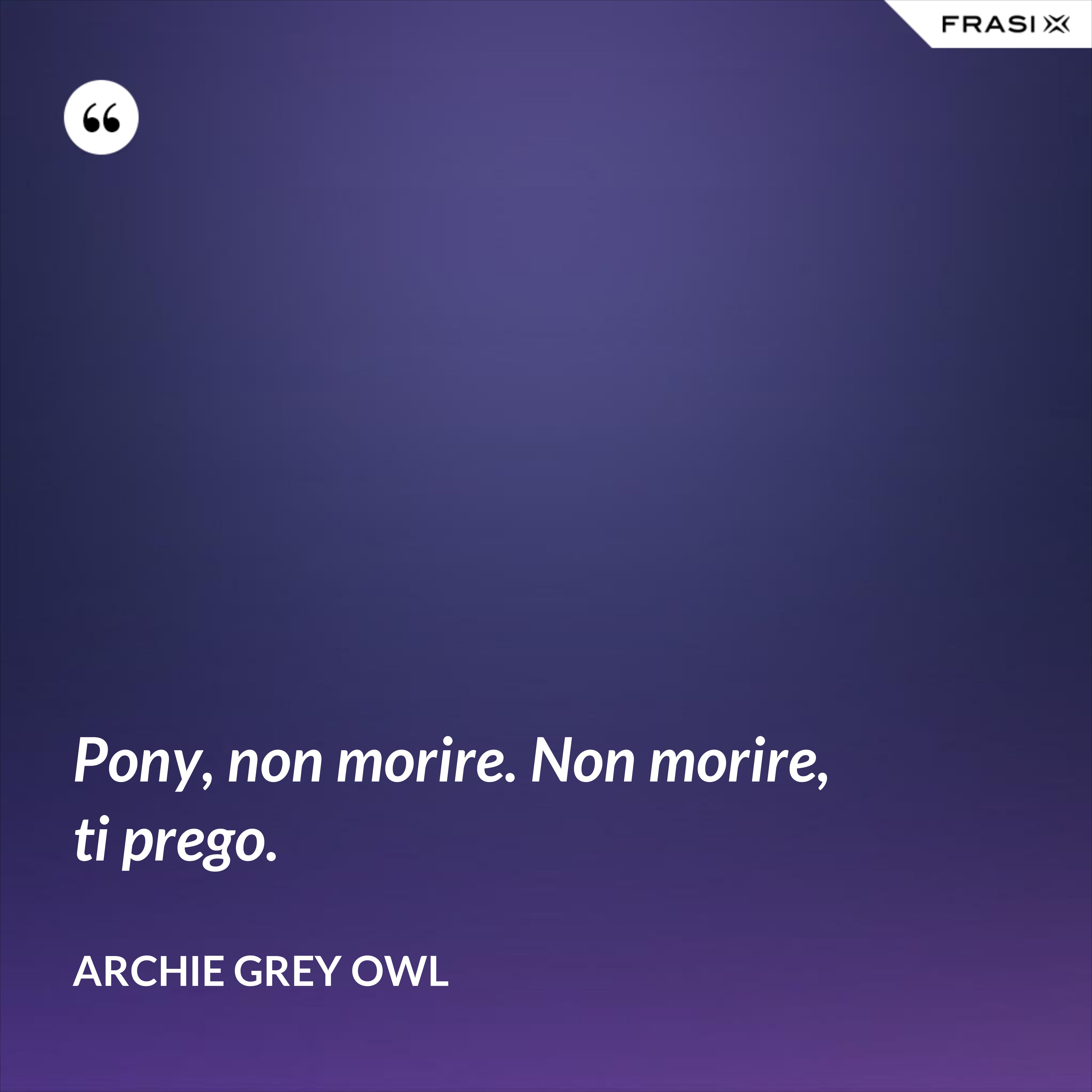 Pony, non morire. Non morire, ti prego. - Archie Grey Owl