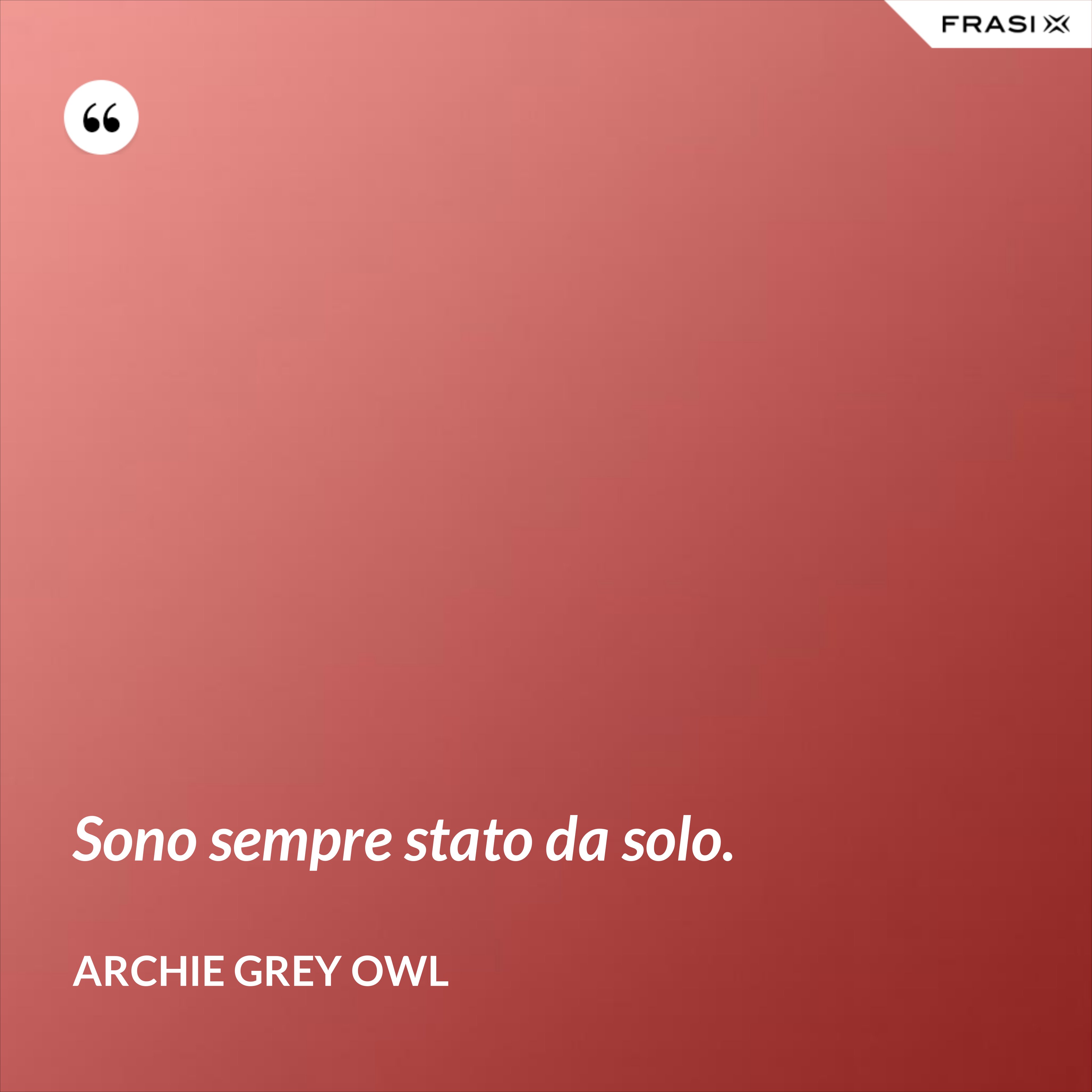 Sono sempre stato da solo. - Archie Grey Owl