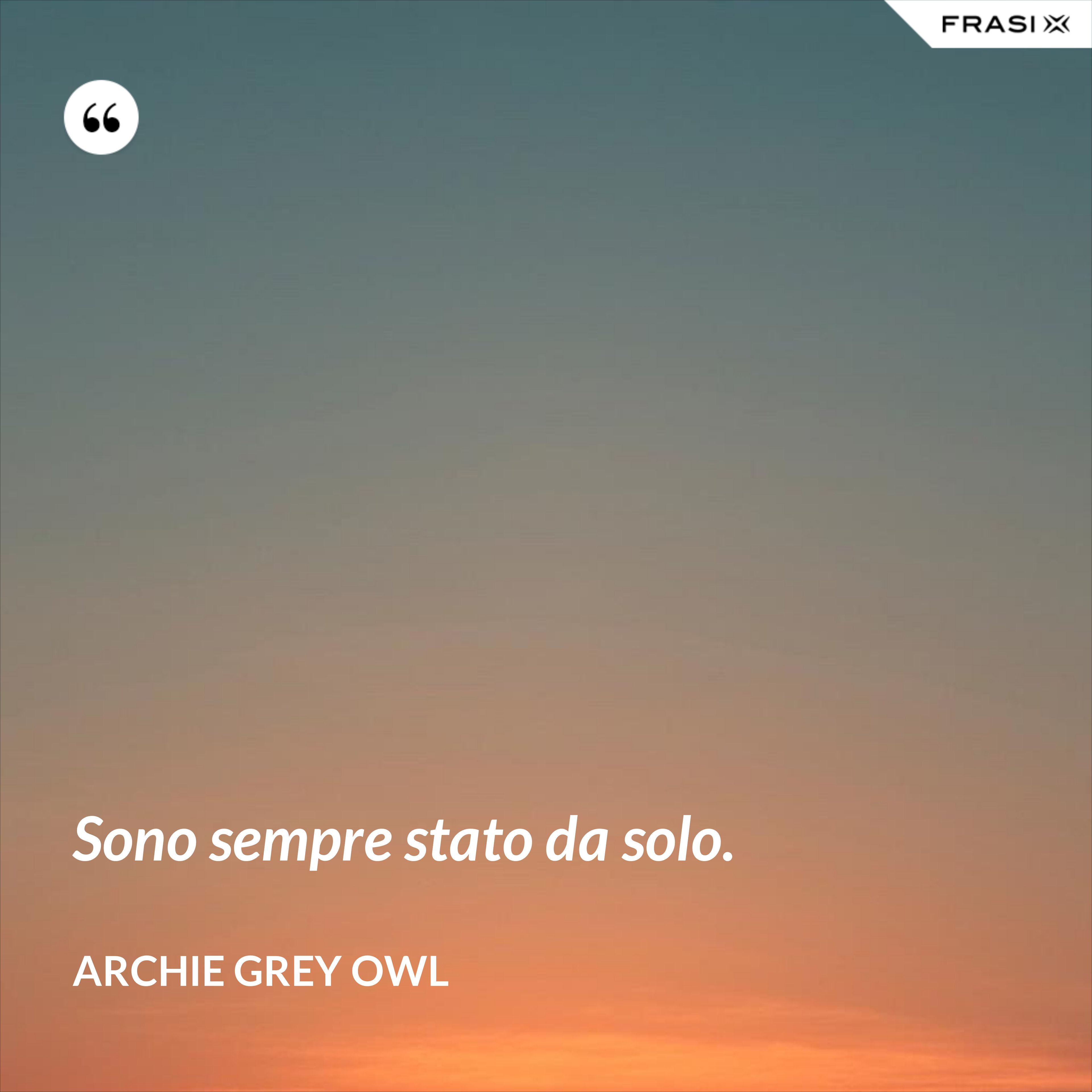 Sono sempre stato da solo. - Archie Grey Owl