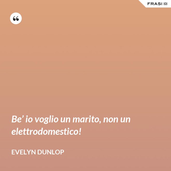 Be’ io voglio un marito, non un elettrodomestico! - Evelyn Dunlop