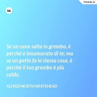 Se un cane salta in grembo, è perché è innamorato di te; ma se un gatto fa la stessa cosa, è perché il tuo grembo è più caldo. - Alfred North Whitehead