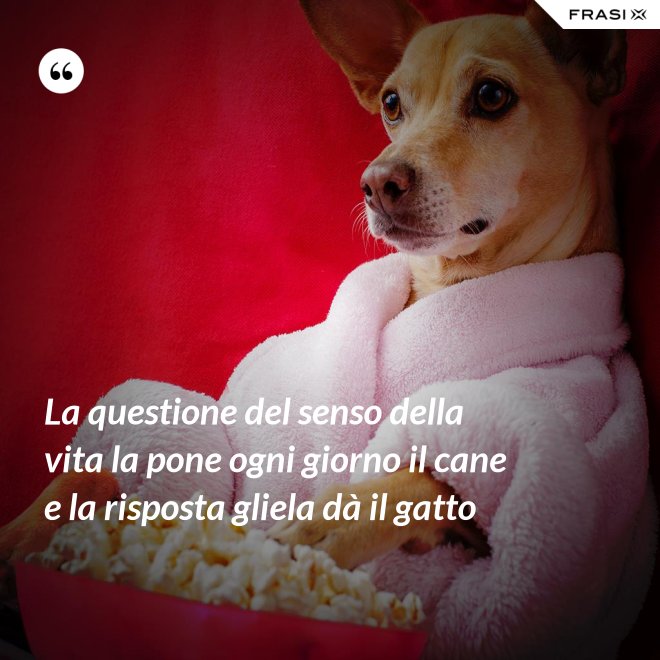 La questione del senso della vita la pone ogni giorno il cane e la risposta gliela dà il gatto - Anonimo