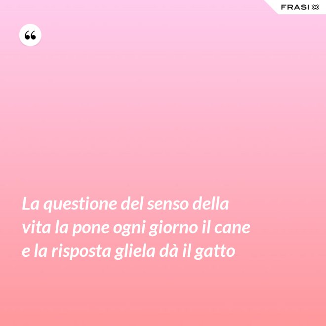 La questione del senso della vita la pone ogni giorno il cane e la risposta gliela dà il gatto - Anonimo