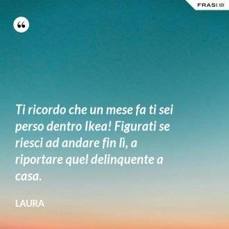 Ti ricordo che un mese fa ti sei perso dentro Ikea! Figurati se riesci ad andare fin lì, a riportare quel delinquente a casa. - Laura