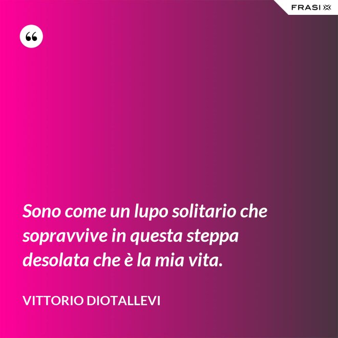 Sono come un lupo solitario che sopravvive in questa steppa desolata che è la mia vita. - Vittorio Diotallevi