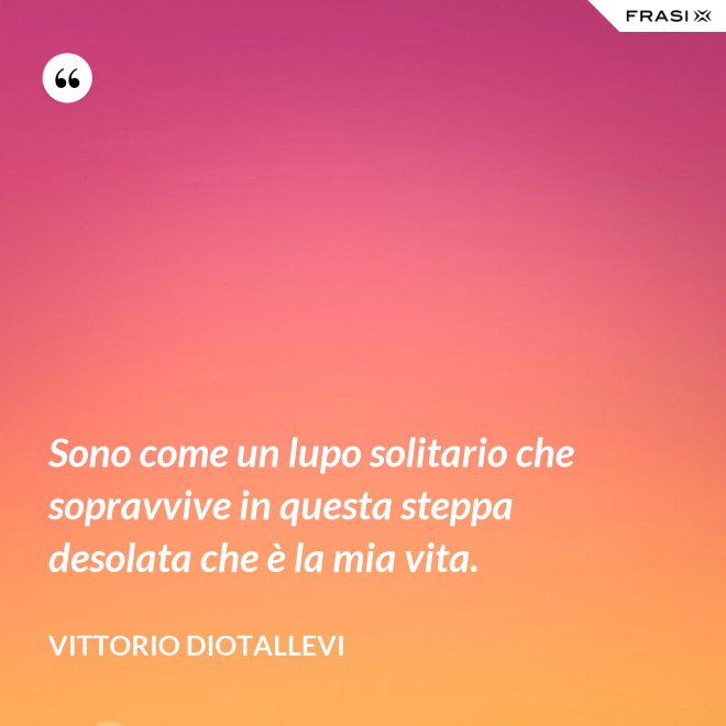 Sono come un lupo solitario che sopravvive in questa steppa desolata che è la mia vita. - Vittorio Diotallevi