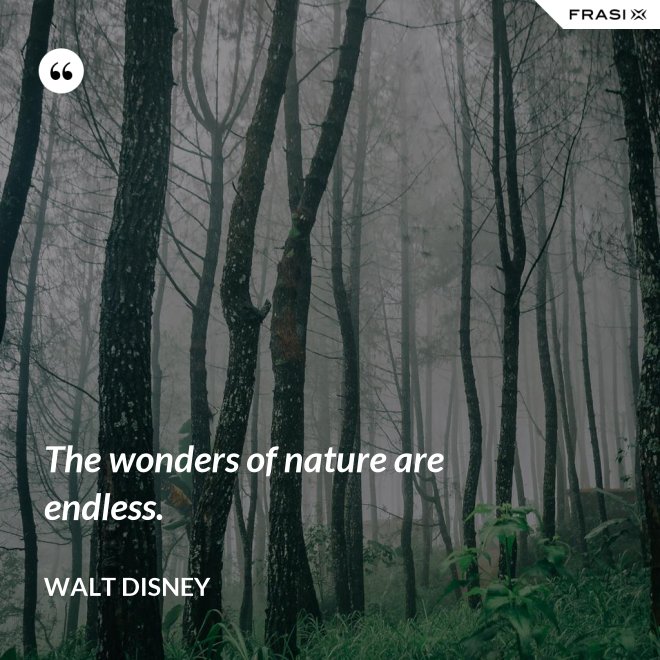 The wonders of nature are endless. - Walt Disney