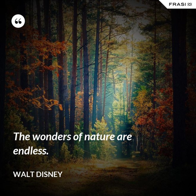 The wonders of nature are endless. - Walt Disney