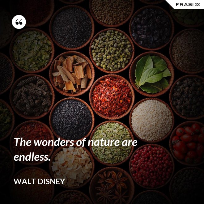 The wonders of nature are endless. - Walt Disney