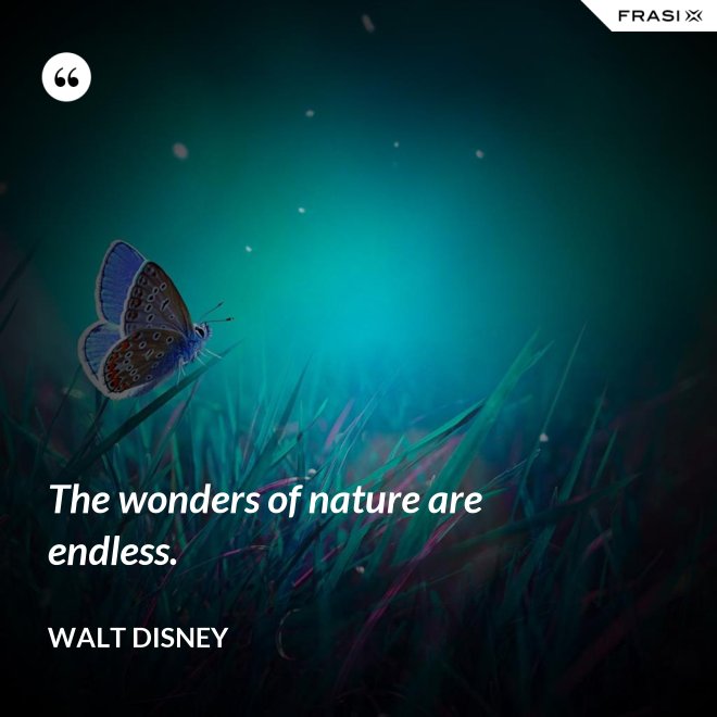 The wonders of nature are endless. - Walt Disney