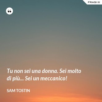 Tu non sei una donna. Sei molto di più... Sei un meccanico! - Sam Tostin