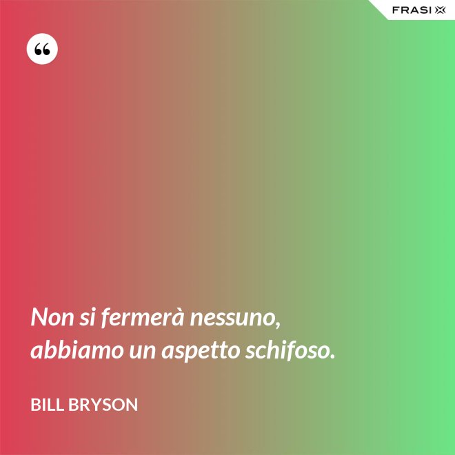 Non si fermerà nessuno, abbiamo un aspetto schifoso. - Bill Bryson