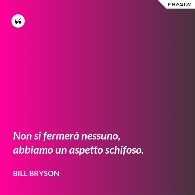 Non si fermerà nessuno, abbiamo un aspetto schifoso. - Bill Bryson