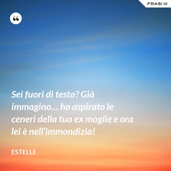 Sei fuori di testa? Già immagino… ho aspirato le ceneri della tua ex moglie e ora lei è nell’immondizia! - Estelle