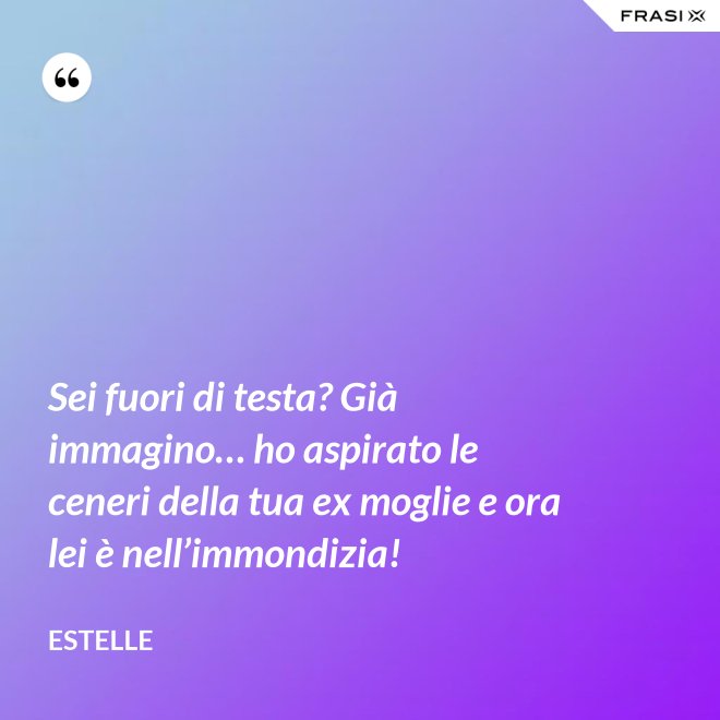 Sei fuori di testa? Già immagino… ho aspirato le ceneri della tua ex moglie e ora lei è nell’immondizia! - Estelle