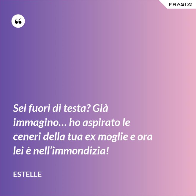 Sei fuori di testa? Già immagino… ho aspirato le ceneri della tua ex moglie e ora lei è nell’immondizia! - Estelle