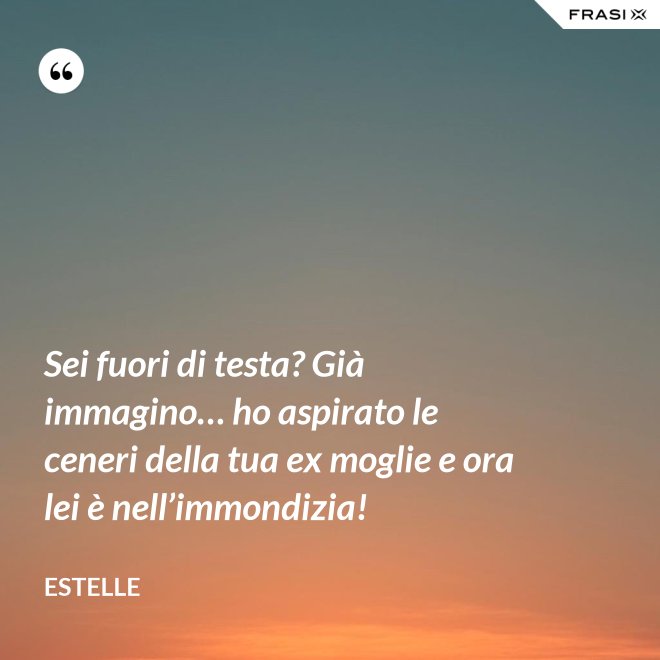 Sei fuori di testa? Già immagino… ho aspirato le ceneri della tua ex moglie e ora lei è nell’immondizia! - Estelle