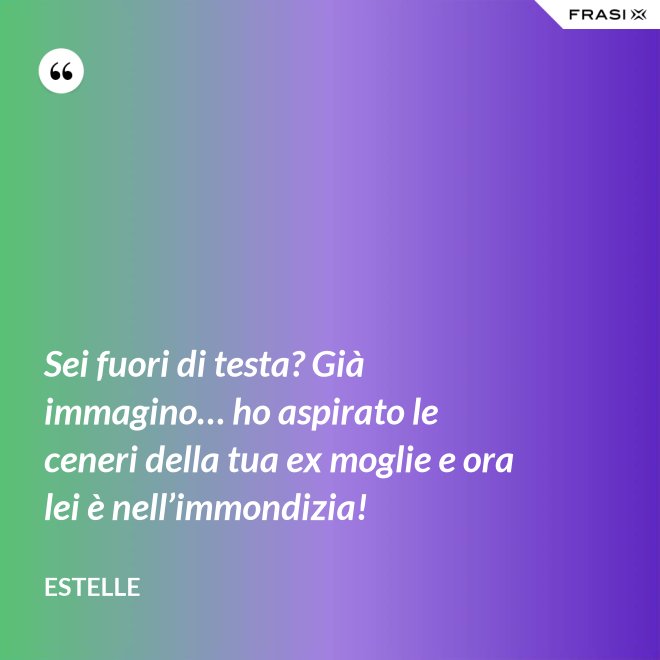 Sei fuori di testa? Già immagino… ho aspirato le ceneri della tua ex moglie e ora lei è nell’immondizia! - Estelle