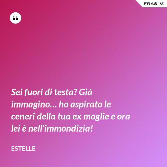 Sei fuori di testa? Già immagino… ho aspirato le ceneri della tua ex moglie e ora lei è nell’immondizia! - Estelle