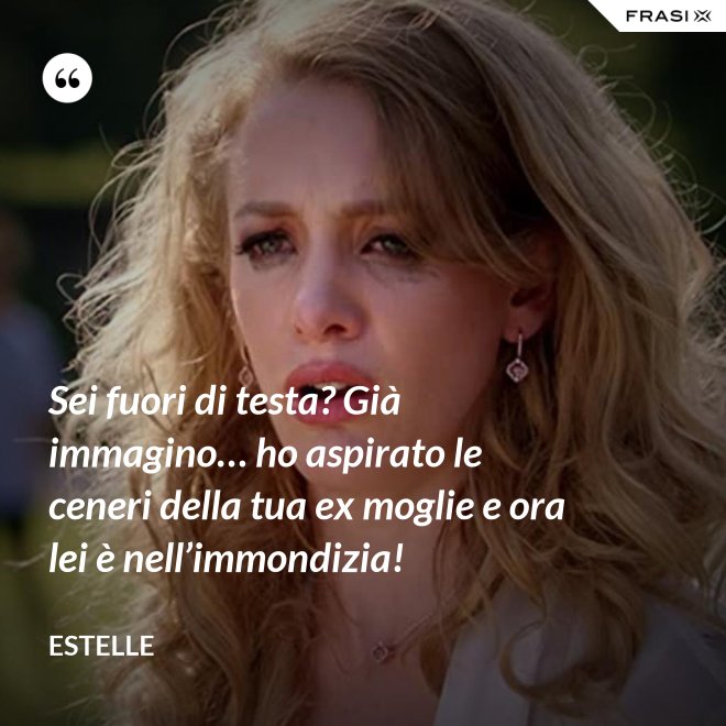 Sei fuori di testa? Già immagino… ho aspirato le ceneri della tua ex moglie e ora lei è nell’immondizia! - Estelle