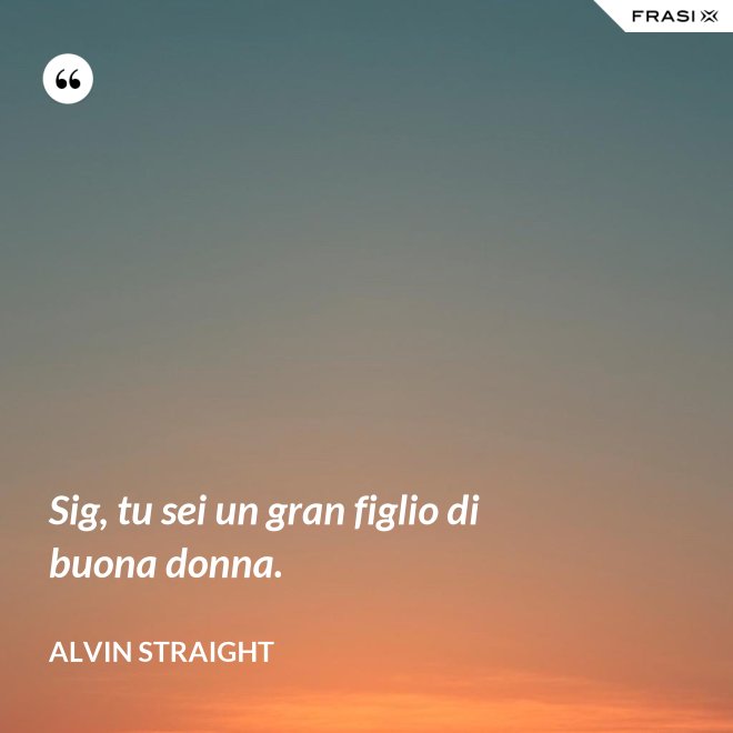 Sig, tu sei un gran figlio di buona donna. - Alvin Straight