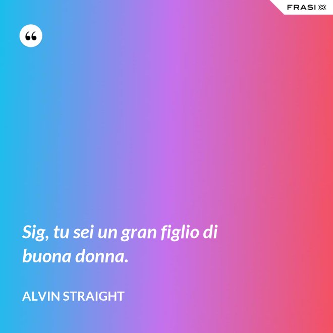 Sig, tu sei un gran figlio di buona donna. - Alvin Straight