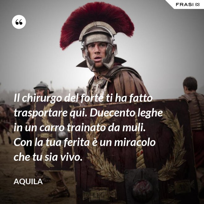 Il chirurgo del forte ti ha fatto trasportare qui. Duecento leghe in un carro trainato da muli. Con la tua ferita è un miracolo che tu sia vivo. - Aquila