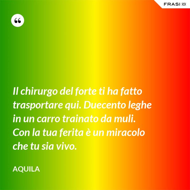 Il chirurgo del forte ti ha fatto trasportare qui. Duecento leghe in un carro trainato da muli. Con la tua ferita è un miracolo che tu sia vivo. - Aquila