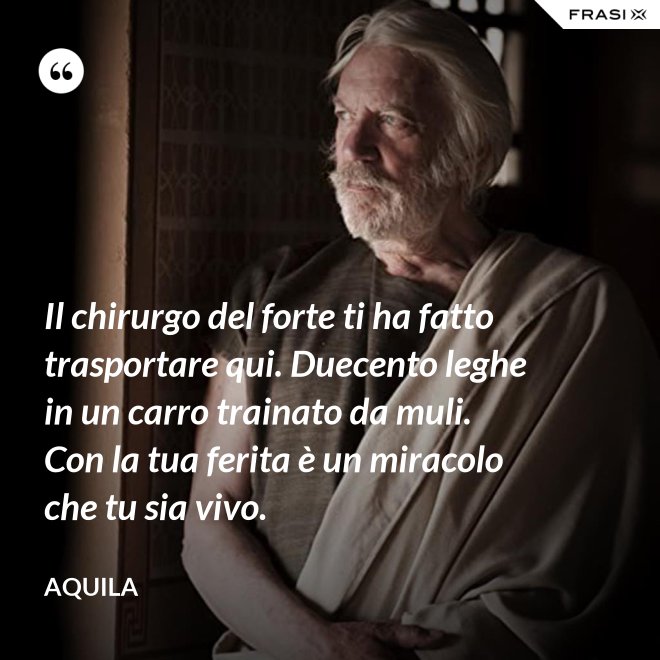 Il chirurgo del forte ti ha fatto trasportare qui. Duecento leghe in un carro trainato da muli. Con la tua ferita è un miracolo che tu sia vivo. - Aquila