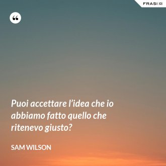 Puoi accettare l’idea che io abbiamo fatto quello che ritenevo giusto? - Sam Wilson