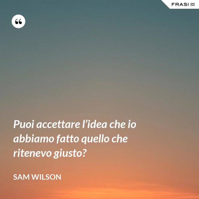 Puoi accettare l’idea che io abbiamo fatto quello che ritenevo giusto? - Sam Wilson