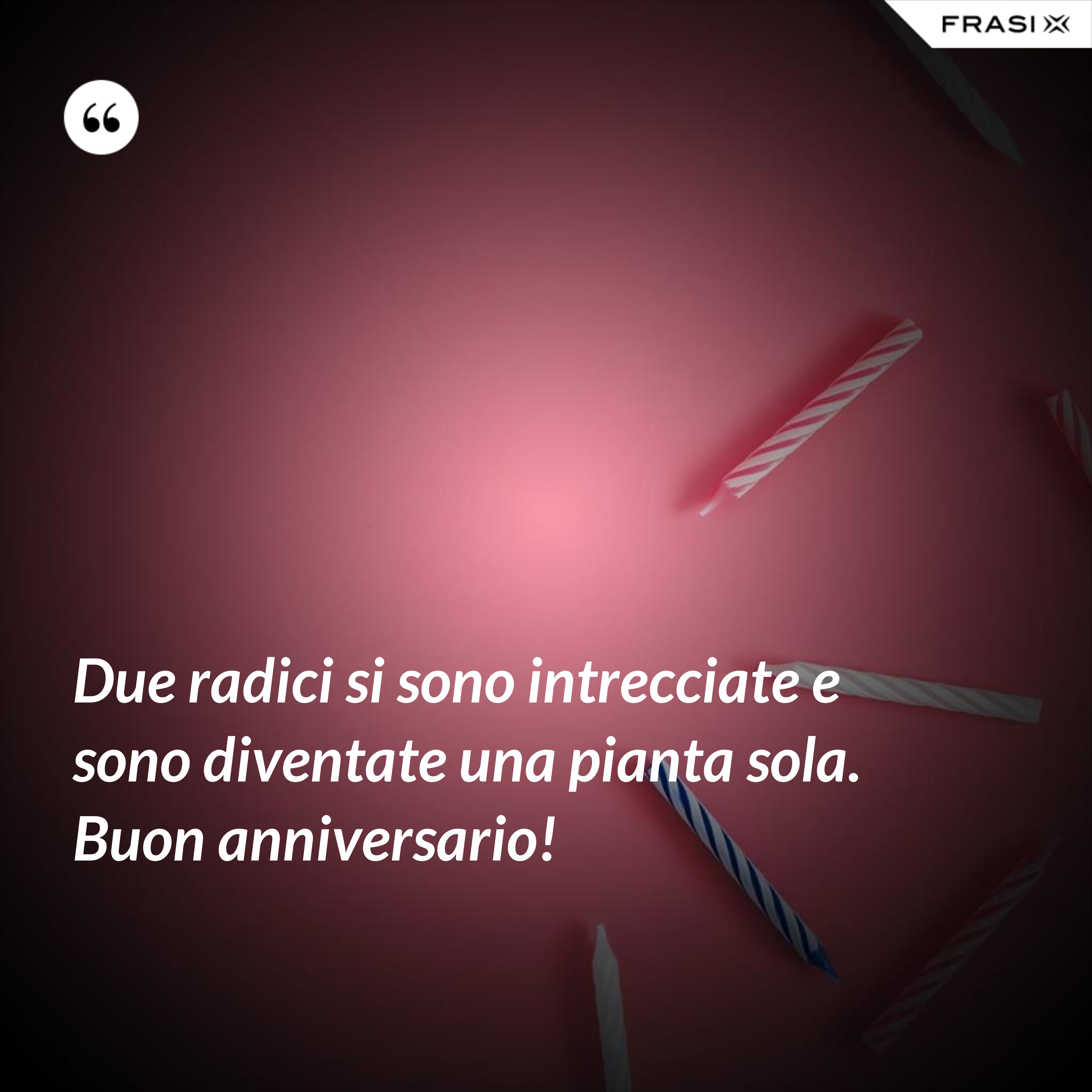 Due radici si sono intrecciate e sono diventate una pianta sola. Buon anniversario! - Anonimo