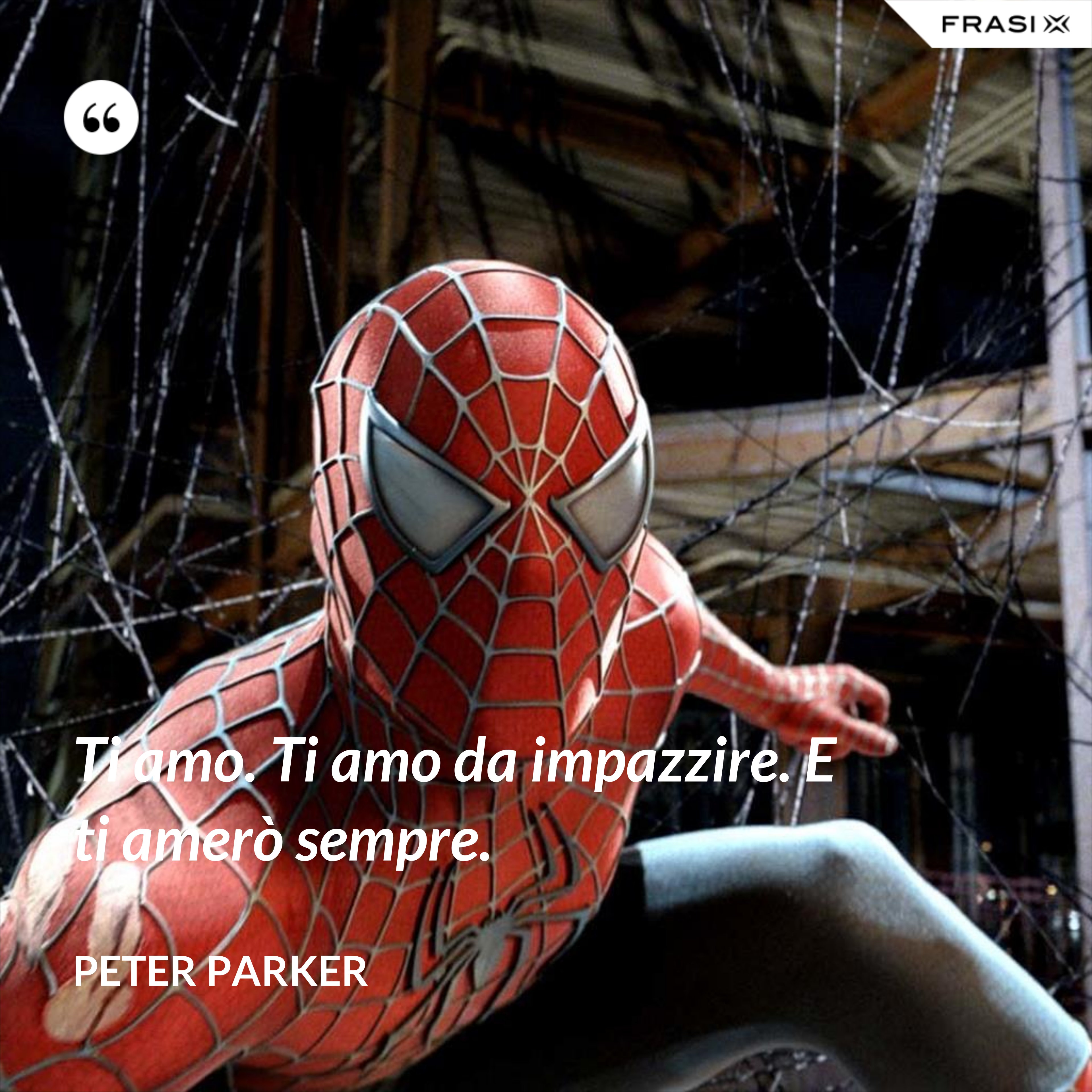 Ti amo. Ti amo da impazzire. E ti amerò sempre. - Peter Parker