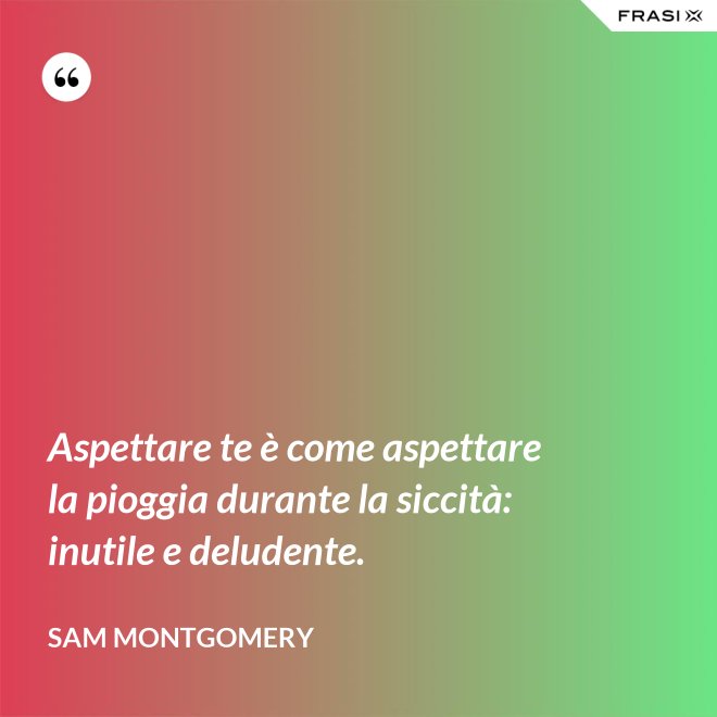 Aspettare te è come aspettare la pioggia durante la siccità: inutile e deludente. - Sam Montgomery