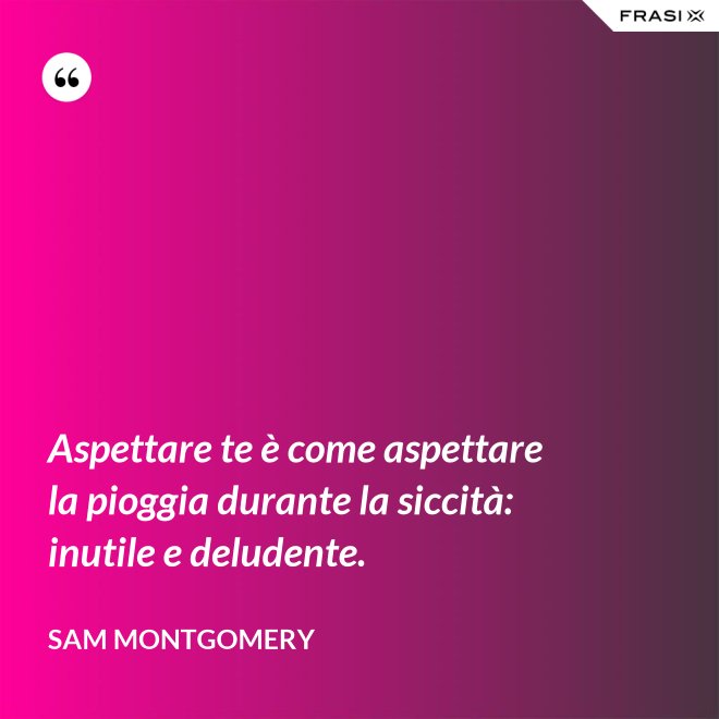 Aspettare te è come aspettare la pioggia durante la siccità: inutile e deludente. - Sam Montgomery