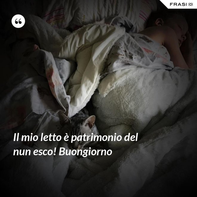 Il mio letto è patrimonio del nun esco! Buongiorno - Anonimo