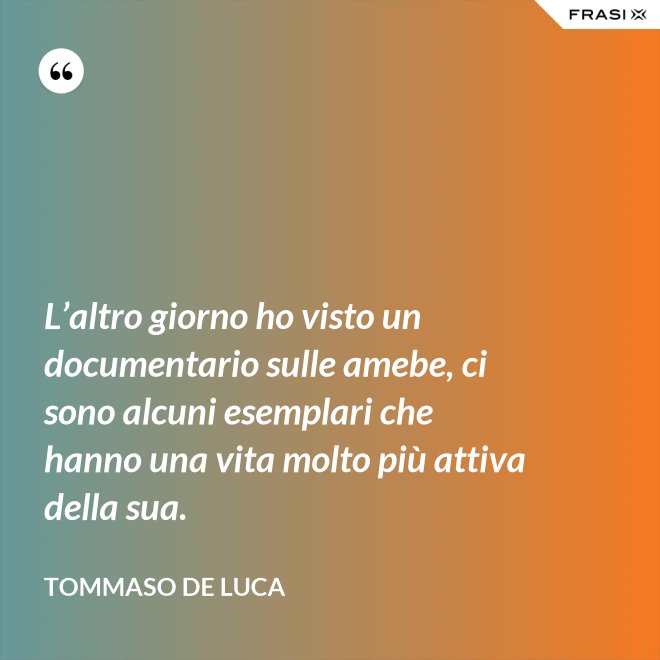 L’altro giorno ho visto un documentario sulle amebe, ci sono alcuni esemplari che hanno una vita molto più attiva della sua. - Tommaso De Luca