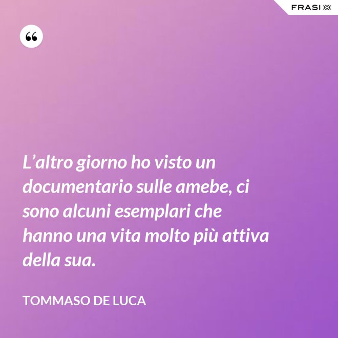 L’altro giorno ho visto un documentario sulle amebe, ci sono alcuni esemplari che hanno una vita molto più attiva della sua. - Tommaso De Luca