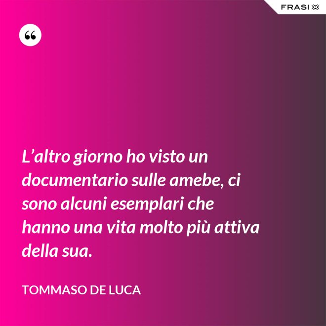 L’altro giorno ho visto un documentario sulle amebe, ci sono alcuni esemplari che hanno una vita molto più attiva della sua. - Tommaso De Luca