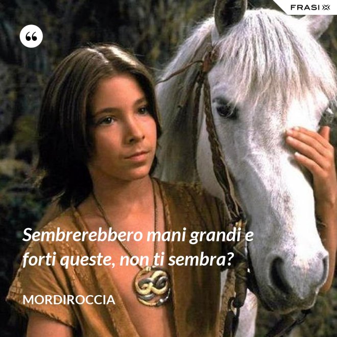 Sembrerebbero mani grandi e forti queste, non ti sembra? - Mordiroccia