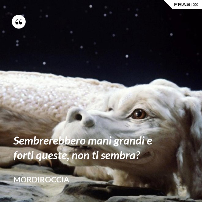 Sembrerebbero mani grandi e forti queste, non ti sembra? - Mordiroccia