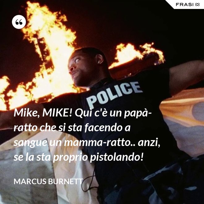 Mike, MIKE! Quì c'è un papà-ratto che si sta facendo a sangue un mamma-ratto.. anzi, se la sta proprio pistolando! - Marcus Burnett