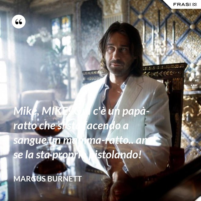 Mike, MIKE! Quì c'è un papà-ratto che si sta facendo a sangue un mamma-ratto.. anzi, se la sta proprio pistolando! - Marcus Burnett