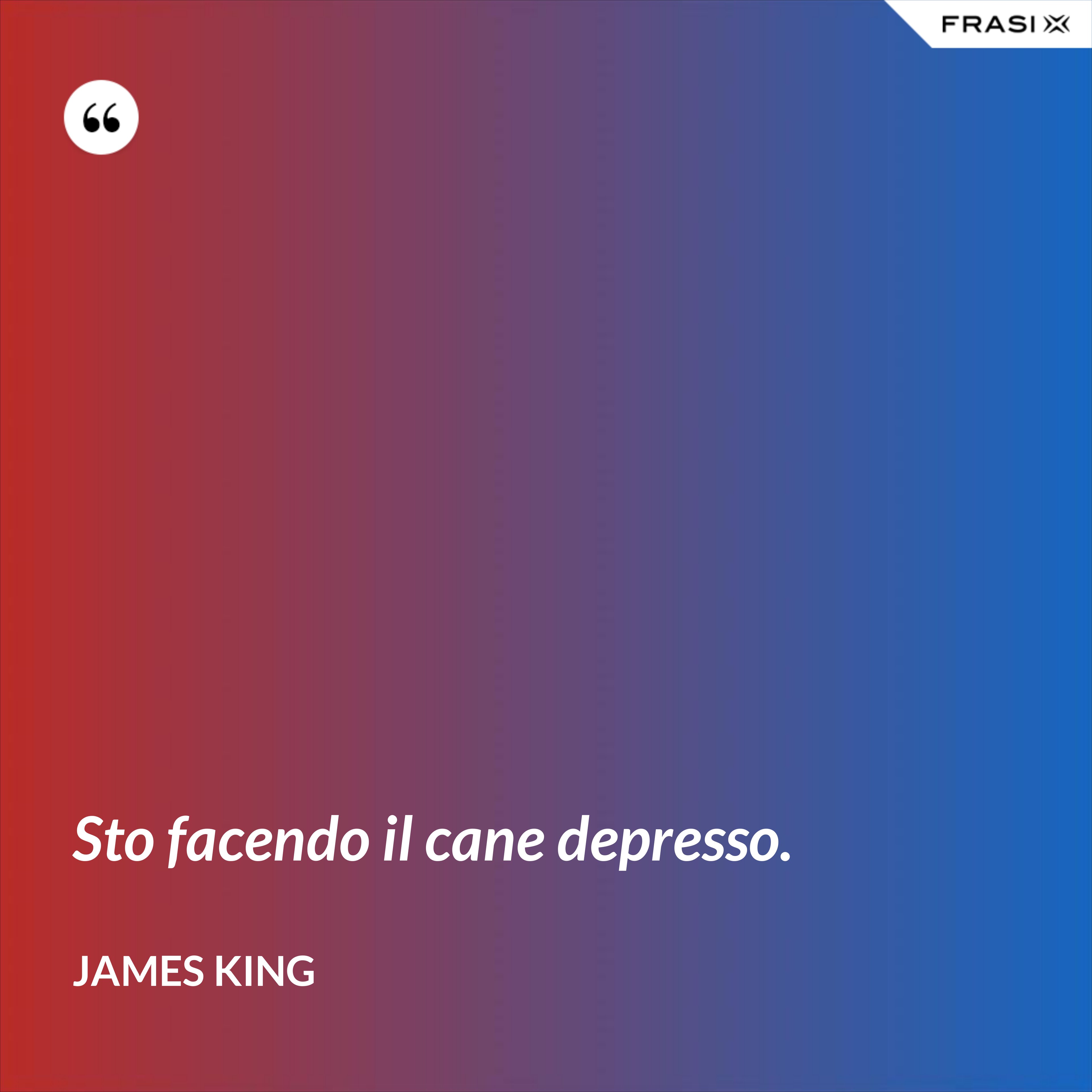 Sto facendo il cane depresso. - James King