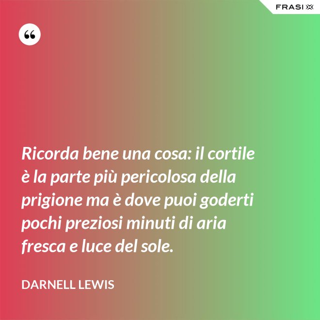 Ricorda bene una cosa: il cortile è la parte più pericolosa della prigione ma è dove puoi goderti pochi preziosi minuti di aria fresca e luce del sole. - Darnell Lewis