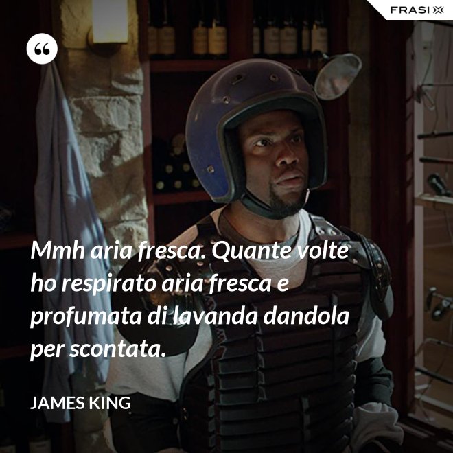 Mmh aria fresca. Quante volte ho respirato aria fresca e profumata di lavanda dandola per scontata. - James King