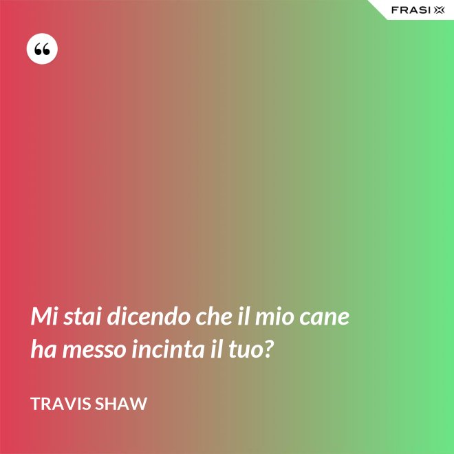 Mi stai dicendo che il mio cane ha messo incinta il tuo? - Travis Shaw