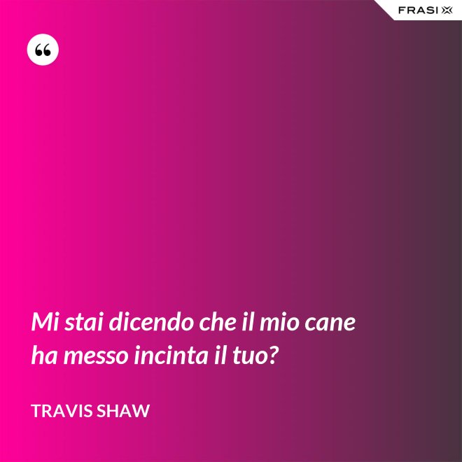 Mi stai dicendo che il mio cane ha messo incinta il tuo? - Travis Shaw